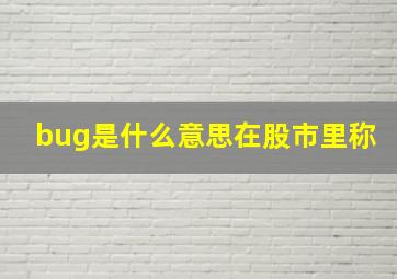 bug是什么意思在股市里称