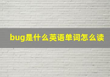 bug是什么英语单词怎么读