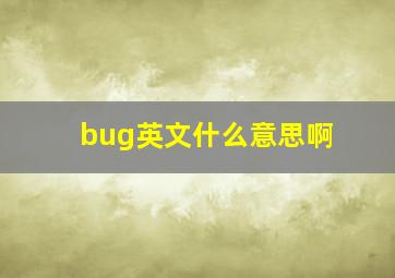 bug英文什么意思啊