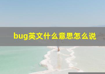 bug英文什么意思怎么说