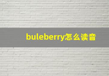 buleberry怎么读音