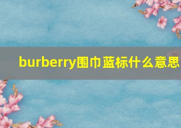 burberry围巾蓝标什么意思