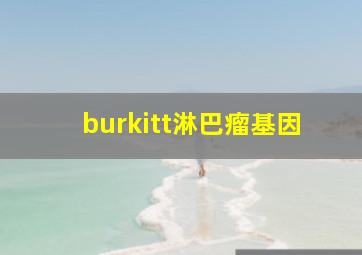 burkitt淋巴瘤基因