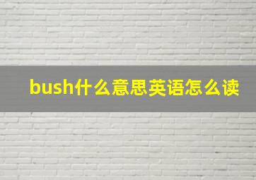 bush什么意思英语怎么读