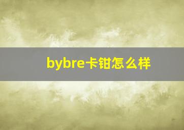 bybre卡钳怎么样