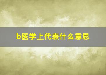 b医学上代表什么意思