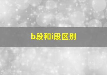 b段和i段区别