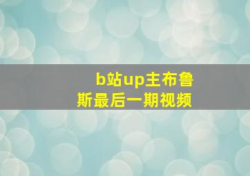 b站up主布鲁斯最后一期视频