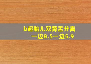 b超胎儿双肾盂分离一边8.5一边5.9