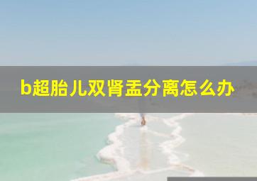 b超胎儿双肾盂分离怎么办