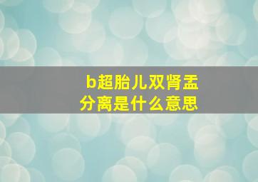 b超胎儿双肾盂分离是什么意思