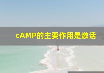 cAMP的主要作用是激活