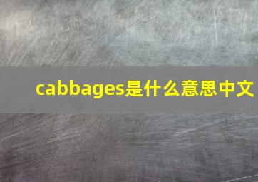 cabbages是什么意思中文