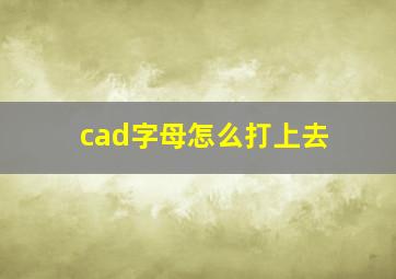 cad字母怎么打上去