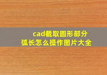 cad截取圆形部分弧长怎么操作图片大全