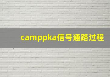 camppka信号通路过程