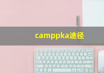 camppka途径