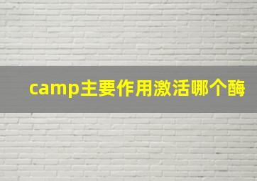 camp主要作用激活哪个酶