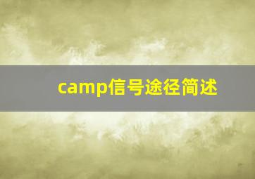 camp信号途径简述