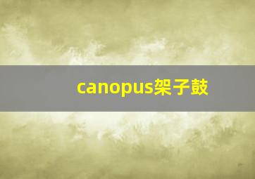 canopus架子鼓