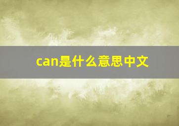 can是什么意思中文