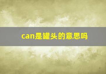 can是罐头的意思吗