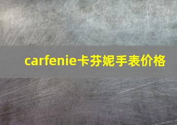 carfenie卡芬妮手表价格