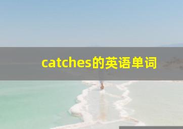 catches的英语单词