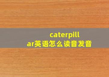 caterpillar英语怎么读音发音