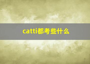 catti都考些什么