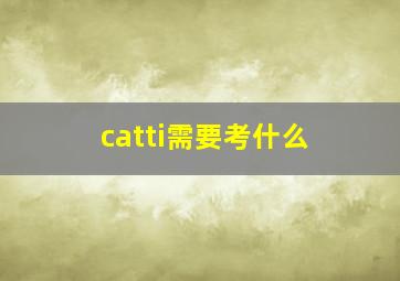 catti需要考什么