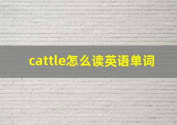 cattle怎么读英语单词