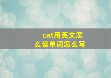 cat用英文怎么读单词怎么写