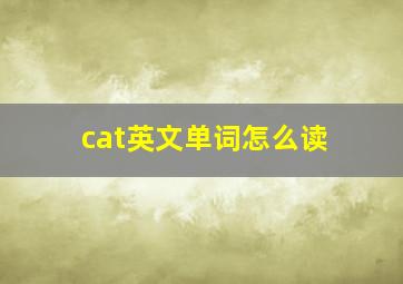 cat英文单词怎么读