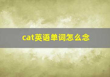 cat英语单词怎么念