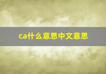 ca什么意思中文意思