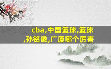 cba,中国篮球,篮球,孙铭徽,广厦哪个厉害