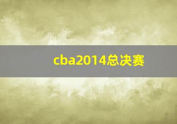 cba2014总决赛