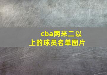 cba两米二以上的球员名单图片