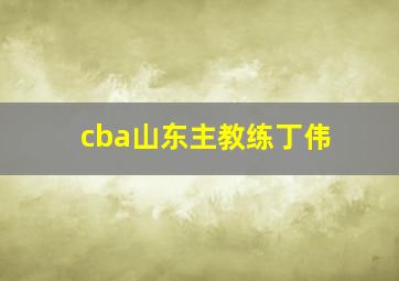 cba山东主教练丁伟