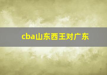 cba山东西王对广东