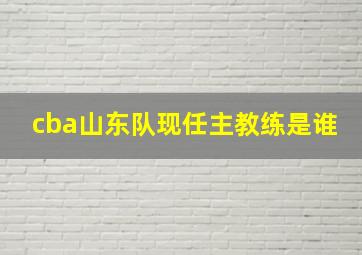 cba山东队现任主教练是谁