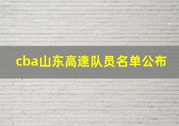 cba山东高速队员名单公布