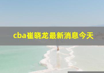 cba崔晓龙最新消息今天