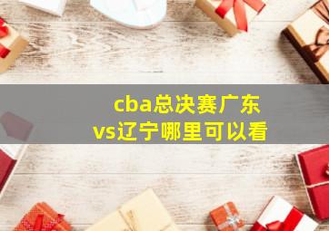 cba总决赛广东vs辽宁哪里可以看