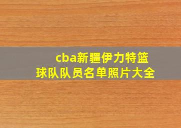 cba新疆伊力特篮球队队员名单照片大全