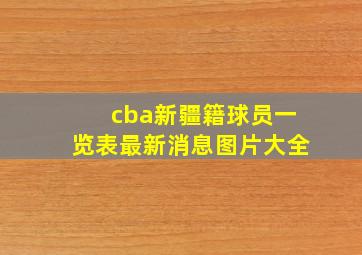 cba新疆籍球员一览表最新消息图片大全