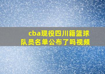 cba现役四川籍篮球队员名单公布了吗视频