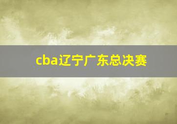 cba辽宁广东总决赛