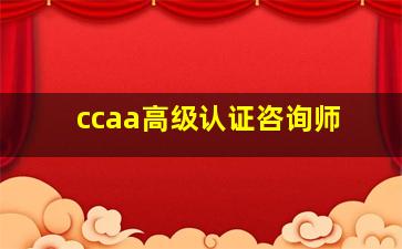 ccaa高级认证咨询师